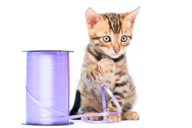 Similar image 12213333