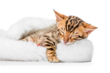 Similar image 12213346