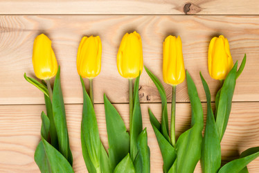 Similar image 12213356