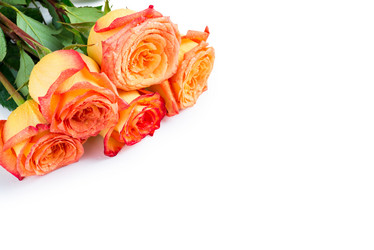 Similar image 12213526