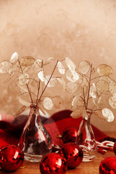 Similar image 12198059