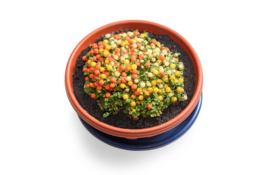 Similar image 12218546