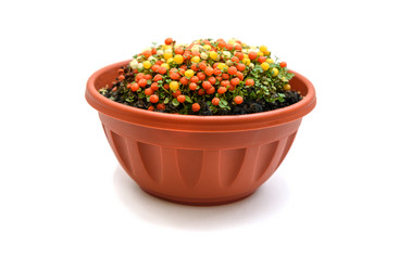 Similar image 12218548