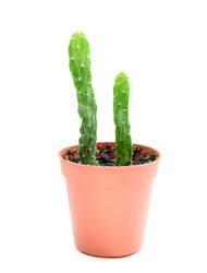 Similar image 12218549