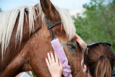 Similar image 12213821