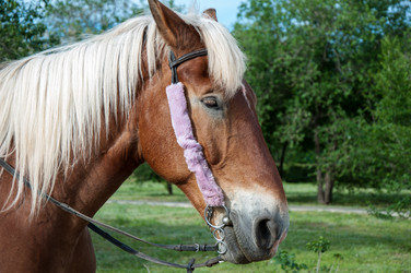 Similar image 12213822