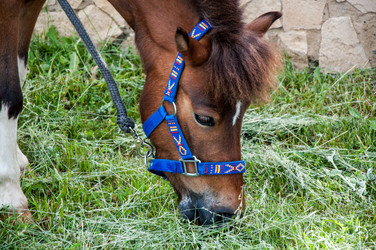 Similar image 12213823