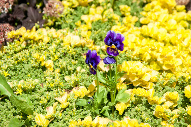 Similar image 12213519