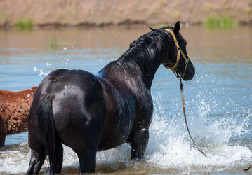 Similar image 12213520