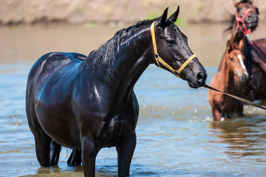 Similar image 12213521