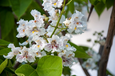 Similar image 12213809