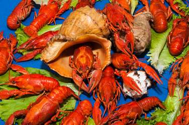 Similar image 12213812