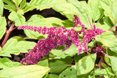 Similar image 12213813