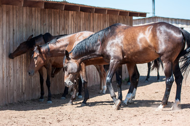 Similar image 12213814