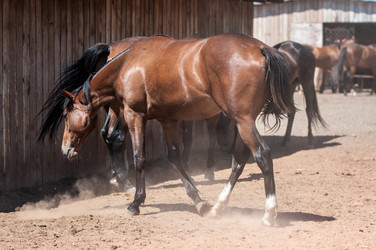 Similar image 12213815