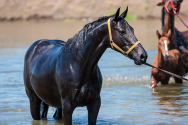 Similar image 12213816