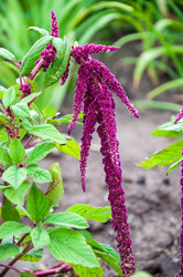 Similar image 12213819