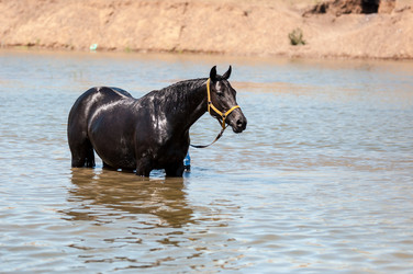 Similar image 12213820