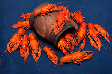 Similar image 12213824