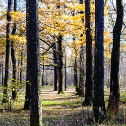 Similar image 12202447