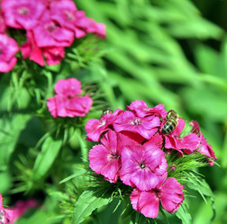 Similar image 12201622