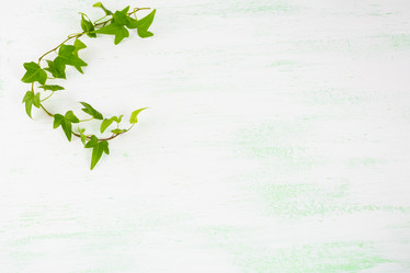 Similar image 12210756