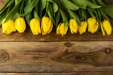 Similar image 12210999