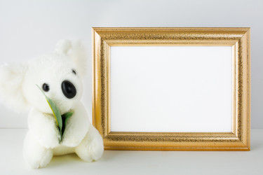 Similar image 12209935