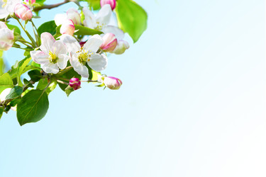 Similar image 12210004