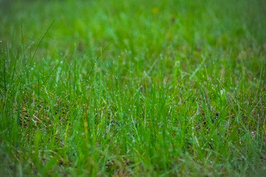 Similar image 12210120