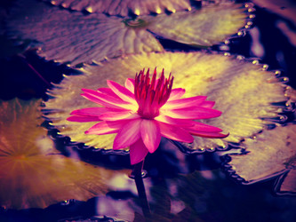 Similar image 12210155