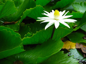 Similar image 12210177