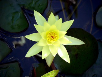 Similar image 12210188