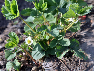 Similar image 12201624