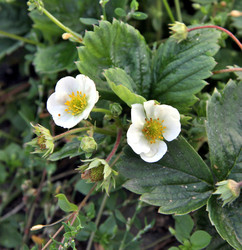 Similar image 12201625