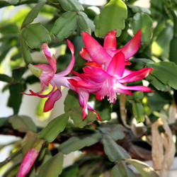 Similar image 12201627