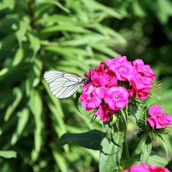 Similar image 12201628