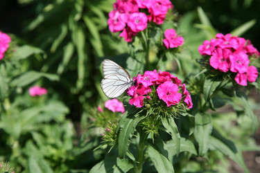 Similar image 12201629