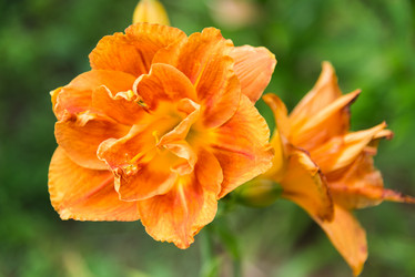 Similar image 12213288