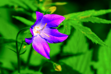 Similar image 12210157