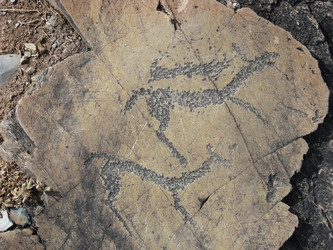 Similar image 12210765