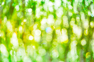 Similar image 12210823