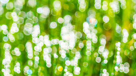 Similar image 12211084