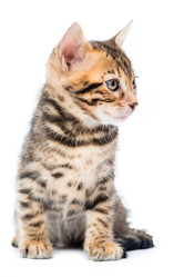 Similar image 12213367