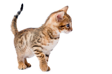 Similar image 12213370