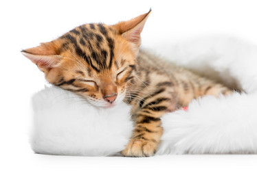 Similar image 12213373