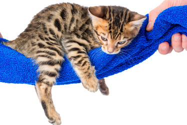 Similar image 12213376