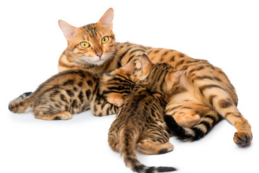 Similar image 12213382