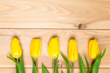 Similar image 12213385