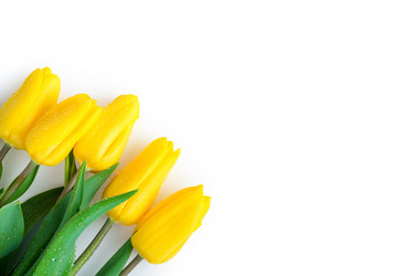 Similar image 12213387